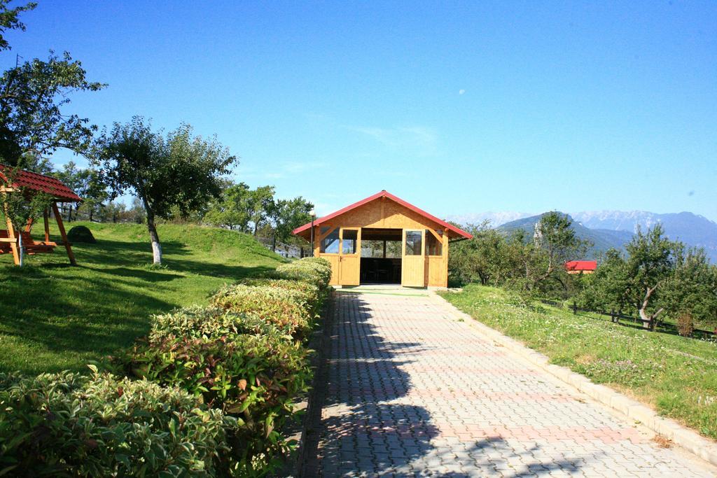 Hotel Sofia Bran  Exterior photo