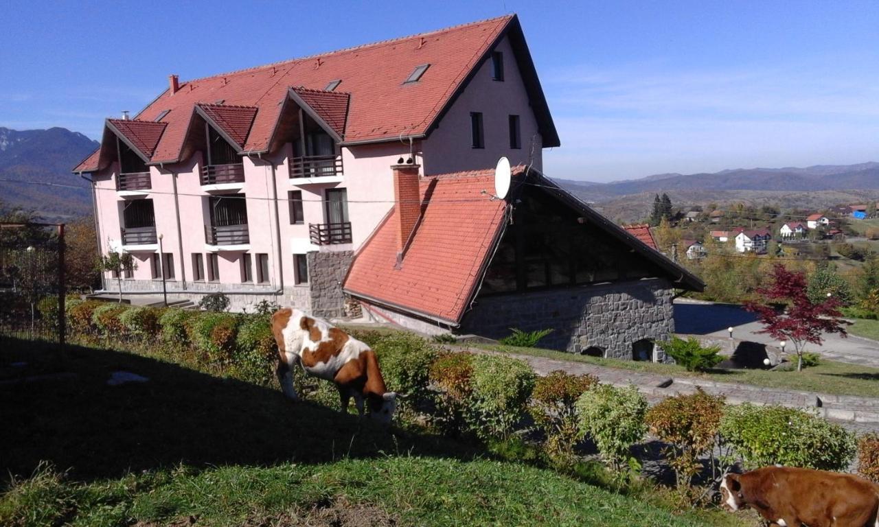 Hotel Sofia Bran  Exterior photo